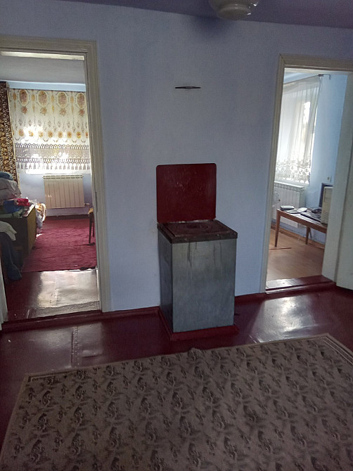Продам дом с газом в с.Щербанка (Одесская обл., Раздельнянский р-н), 50 км от Одессы Щербанка - фото 18