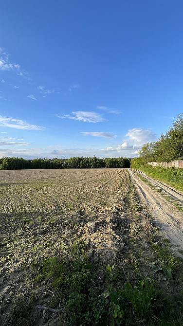 Продаж земельної ділянки 1 га Угринів - фото 3