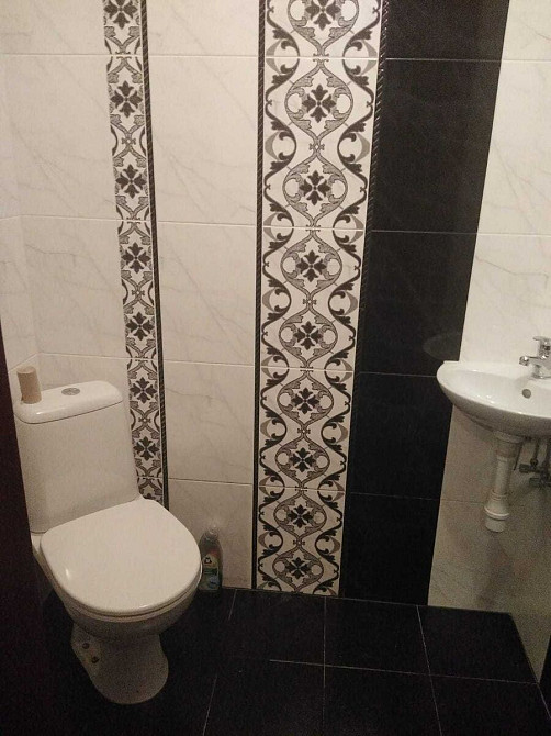 Оренда Квартира 1-кімнатна, 10/24 поверх на Княжий Затон, 9 Київ - фото 9