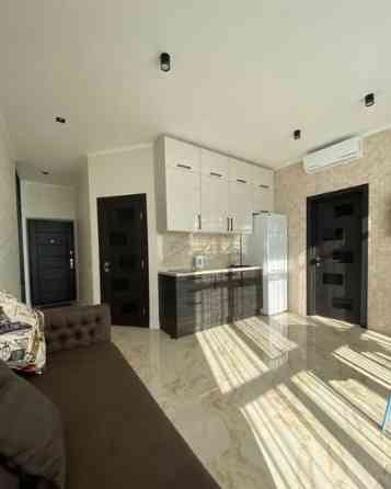 Оренда Квартира 1-кімнатна, 24/24 поверх на Французский б-р, 26/1 Одесса