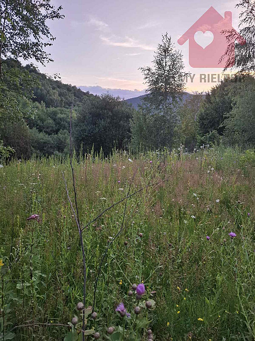 Продаж земельної ділянки 25 соток Uzhhorod - photo 6