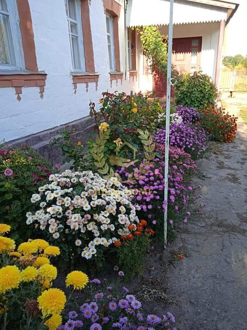 Продам будинок у Житних Горах  - фото 18