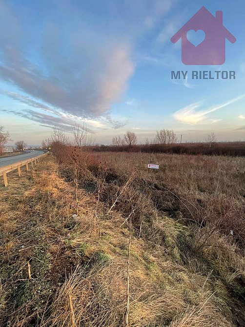 Продаж земельної ділянки 16 соток Kinchesh - photo 6