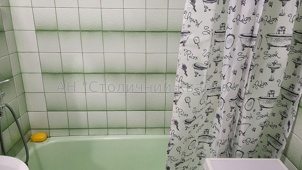 Оренда Будинок 1-кімнатний на Гетьмана Вадима вул., 46А Київ - фото 13