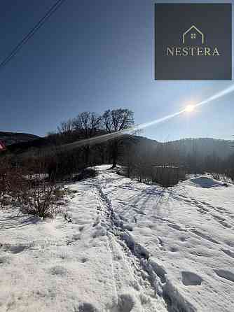 Продаж Будинок Невицьке