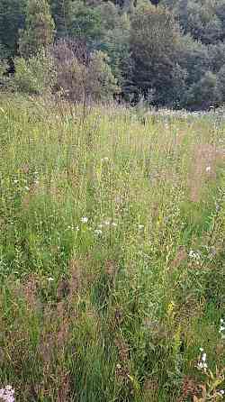 Продаж земельної ділянки 25 соток Uzhhorod