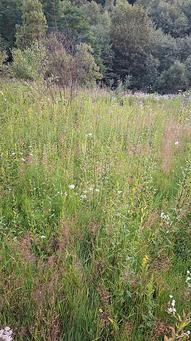 Продаж земельної ділянки 25 соток Uzhhorod - photo 2