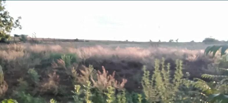 Продам дом в с.Кубанка (Лиманский р-н, 10 км от Одессы) Кубанка - фото 5