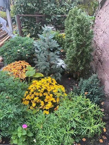 Продаж 2к Квартира 29.5 кв.м Спаська вулиця 24 Миколаїв - фото 9