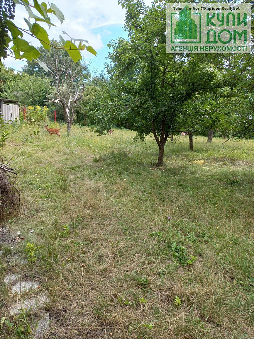 Продам дачу на Полтавській Кропивницький - фото 19
