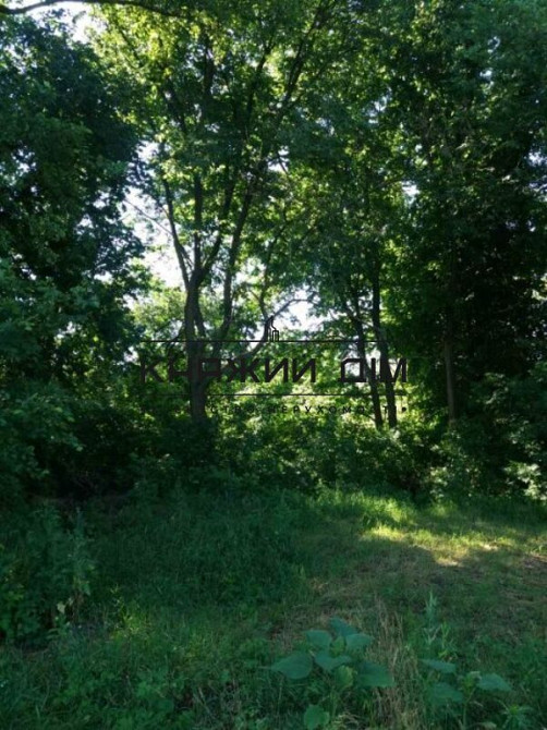 Продаж земельної ділянки 16 соток Protsiv - photo 9