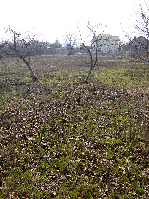 Продаж земельної ділянки 10 соток на ул. Мицкевича, 36 Протопопівка - фото 1