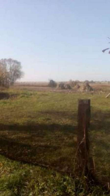 Продаж земельної ділянки 25 соток  - фото 2