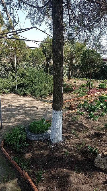 Продаж земельної ділянки 0 соток на ул. Тупиковый 1-й пер, 15 Одесса - изображение 16