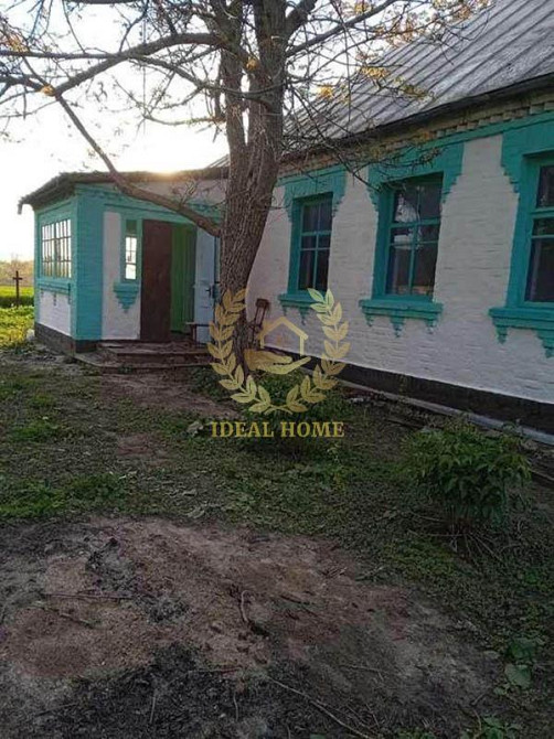 Продам будинок у мальовничому селі Острійки  - фото 3