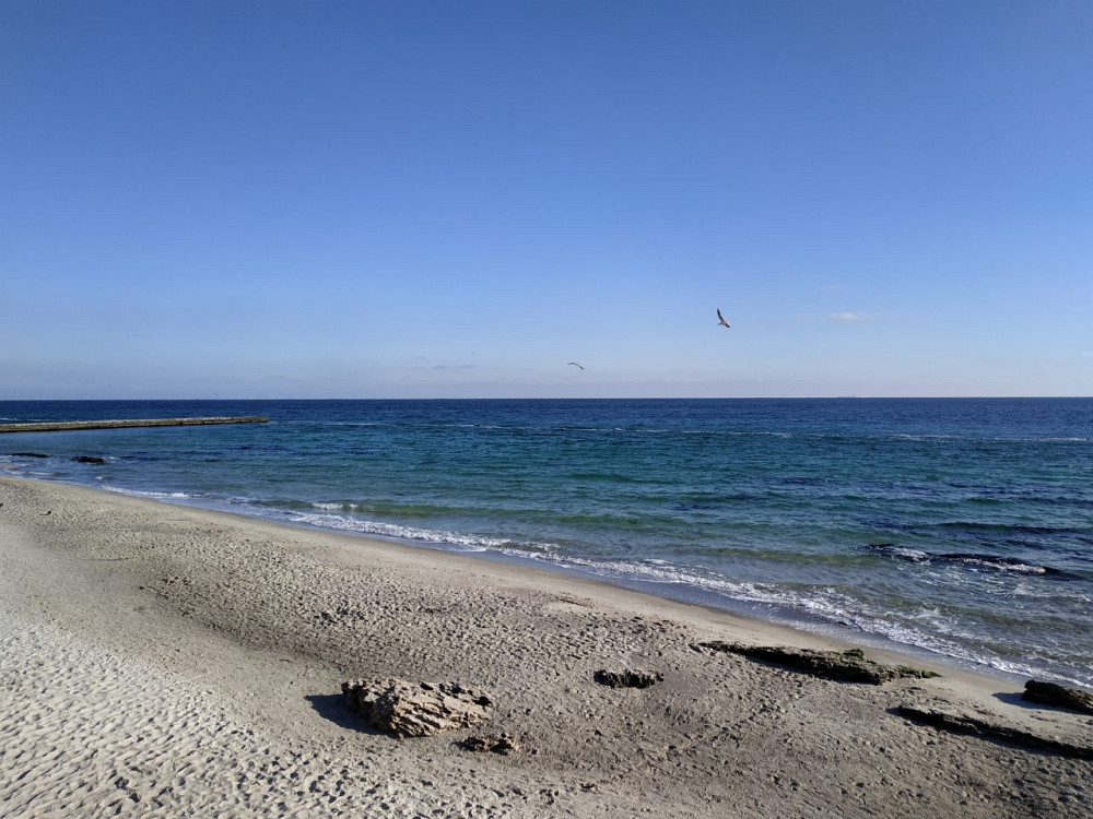 Продаж Будинок 3-кімнатний на массив Массив 21, 9/14-Б Таирове - изображение 15