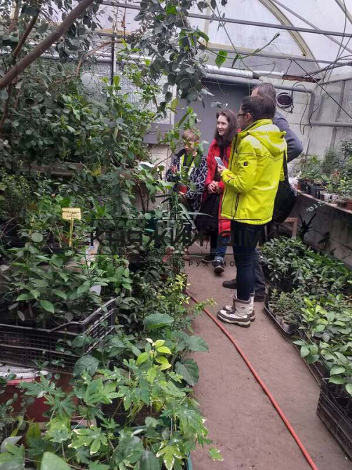 Продажа дома под жилье или бизнес пгт Большая Дымерка. № 2210662  - фото 7