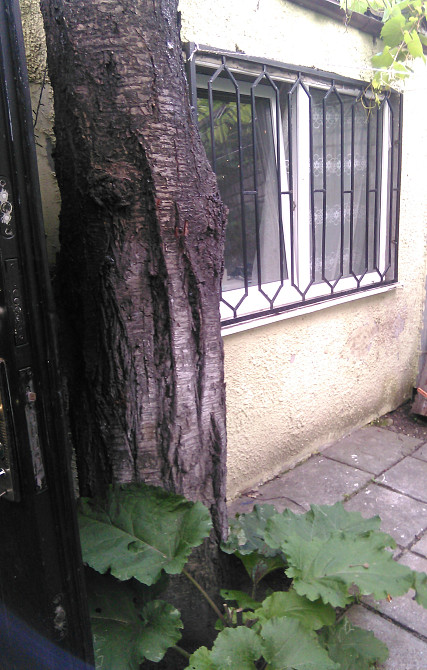 Дом на 4,5 сотках земли, Фонтанская дорога /Ванный переулок Одеса - фото 1