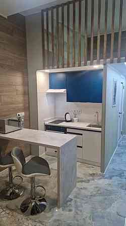 Оренда Квартира 1-кімнатна, 12/12 поверх на Камянська, 127 Київ