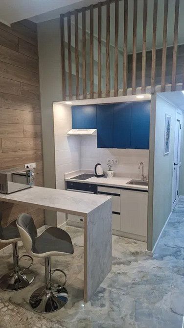 Оренда Квартира 1-кімнатна, 12/12 поверх на Камянська, 127 Київ - фото 1