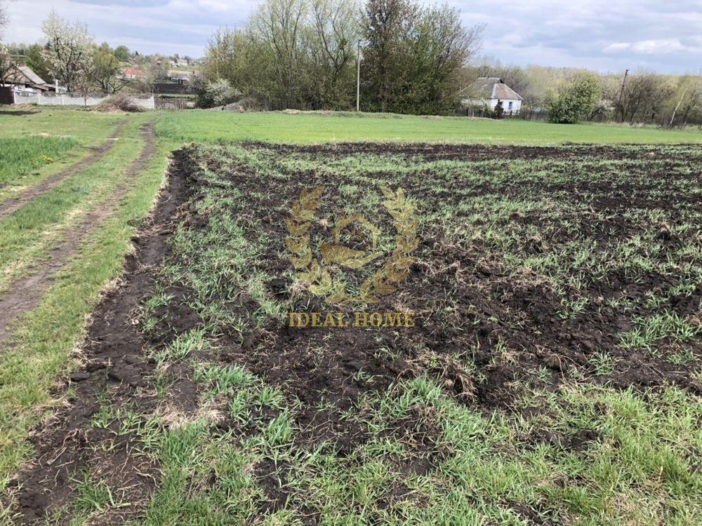 Продаж земельної ділянки 61 соток на Полевая ул., 3 Ustymivka - photo 13