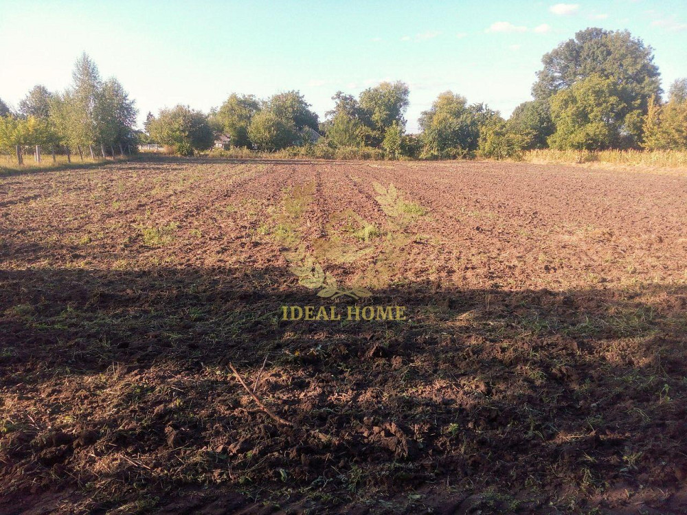 Продам будинок з земельною ділянкою в Малополовецькомуу  - фото 7