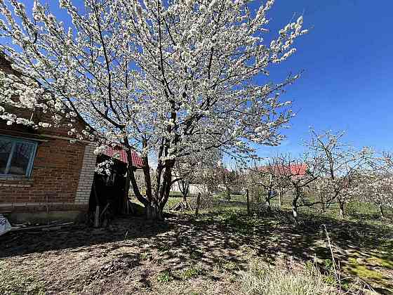 Продаж Будинок на Вінницька 