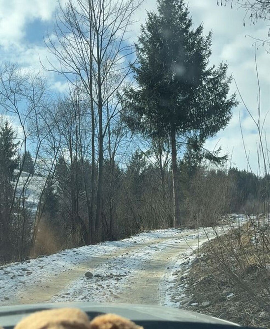 Продаж Будинок Стебни - изображение 11