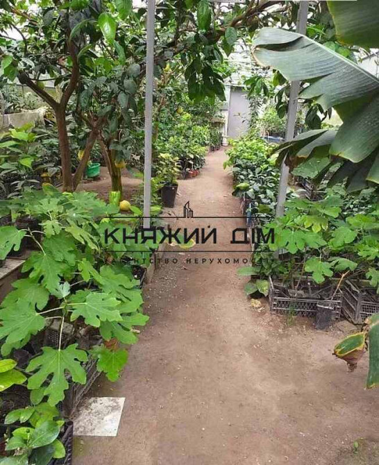 Продажа дома под жилье или бизнес пгт Большая Дымерка. № 2210662  - фото 9