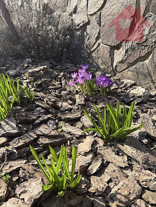 Продаж Будинок на Центральна  - фото 14