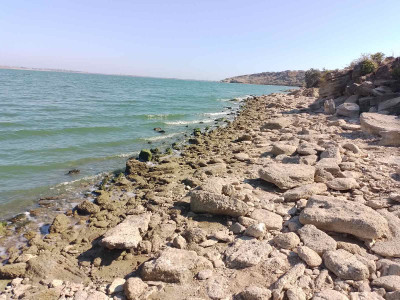 Продаж земельної ділянки 0.1 соток на ул. ул. Бузкова Долина (ДСТ "Витамин"), 28а Нерубайське - фото 6