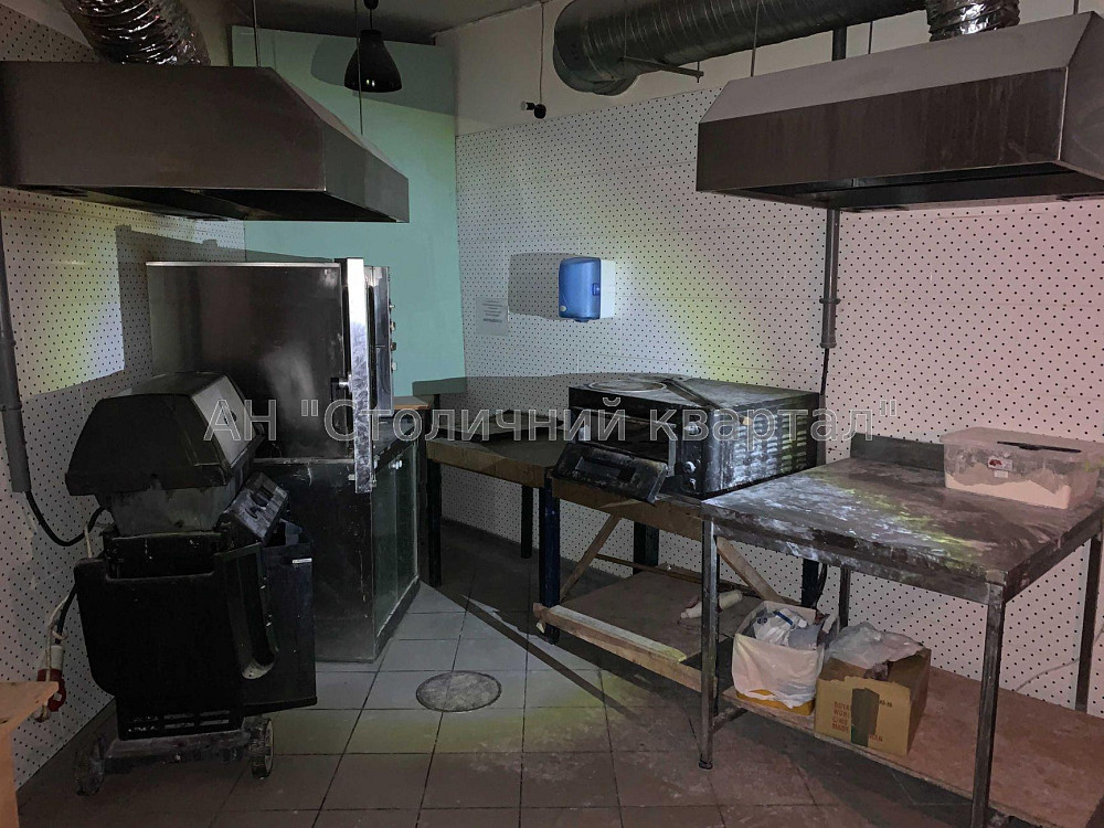 Оренда Будинок 4-кімнатний на Толстого Льва вул., 11 Київ - фото 13