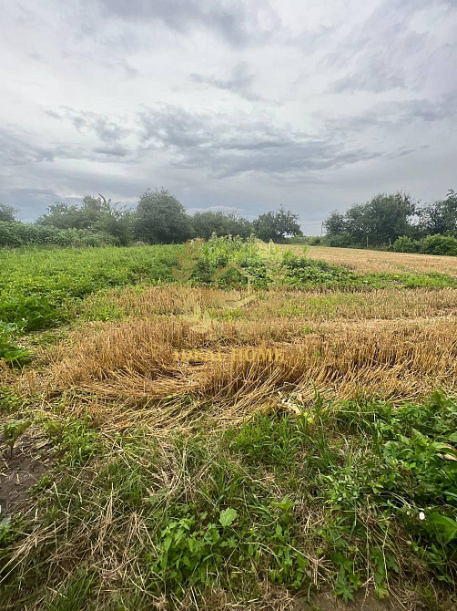 Продам гарний будинок с. Дрозди Білоцерківський район  - фото 7