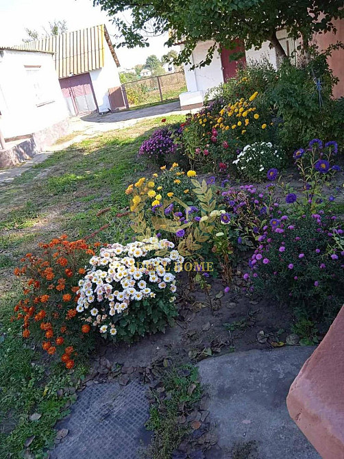 Продам будинок у Житних Горах  - фото 19