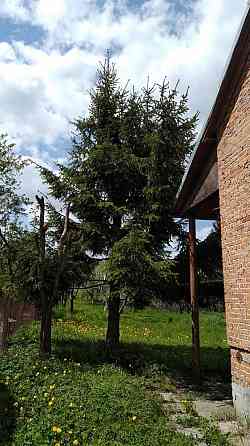 Продаж Будинок 4-кімнатний Бобрка