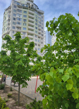 Квартира на Люстдорфской дороге Одеса - фото 9