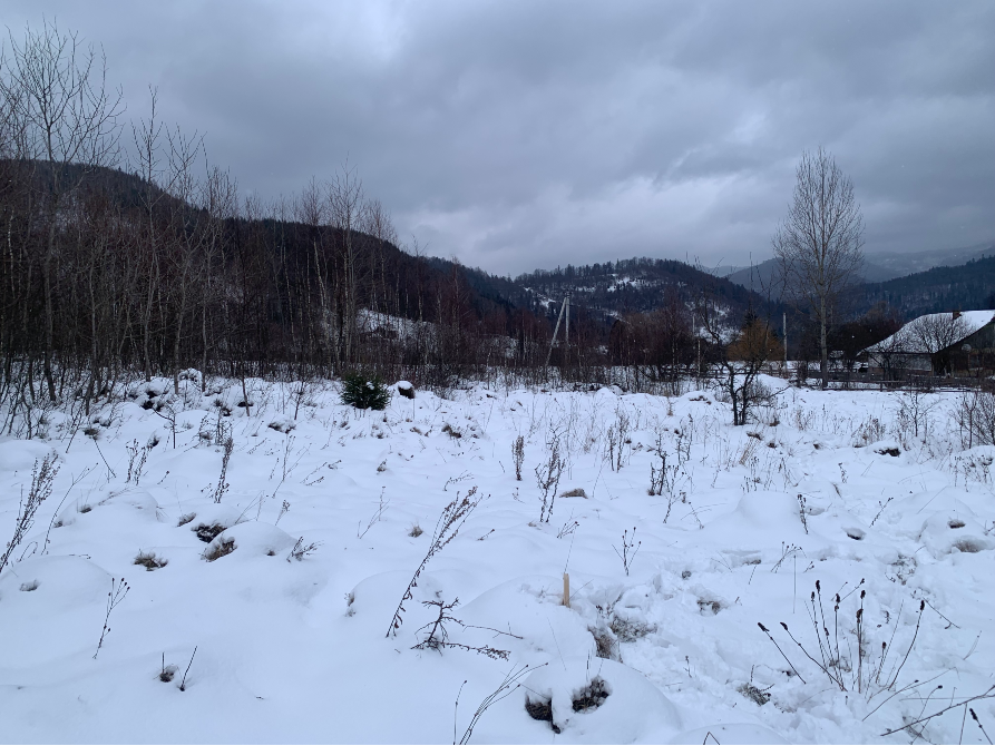 Продажа земельного участка Для строительства частного жилого дома площадь 0.49 сот Вул Зелена Тухля - изображение 3