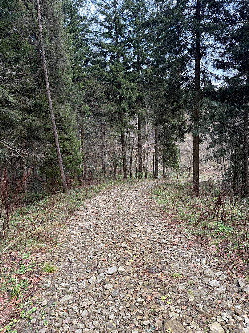 Продаж земельної ділянки 10 соток на вул. лісна Сколе - фото 11