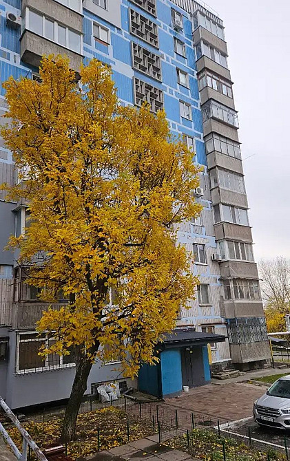 Продаж Квартира 2-кімнатна, 10/10 поверх на Мира пр., 83 Дніпро - фото 15