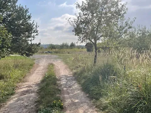 Продажа земельного участка  площадь 8 сот   - изображение 2