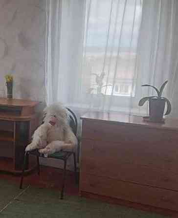 Продається однокімнатна квартира в с. Котовського Одеса