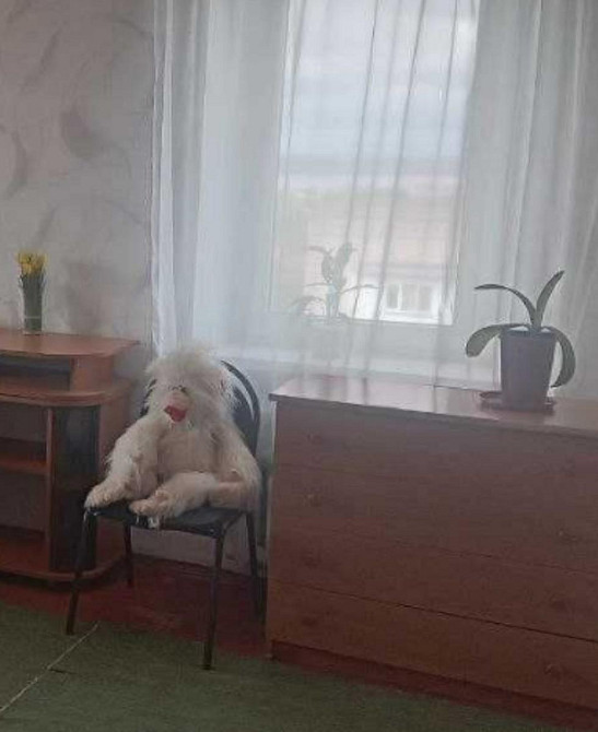 Продається однокімнатна квартира в с. Котовського Одеса - фото 6