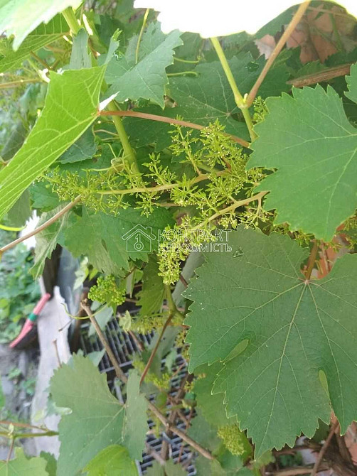 Продаж Будинок 2-кімнатний на вул. Верхня Гиївська Kharkiv - photo 20