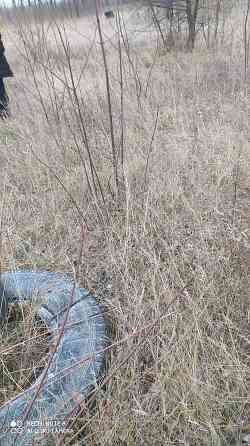 Продаж земельної ділянки 10 соток на ул. Магістральна, 26 