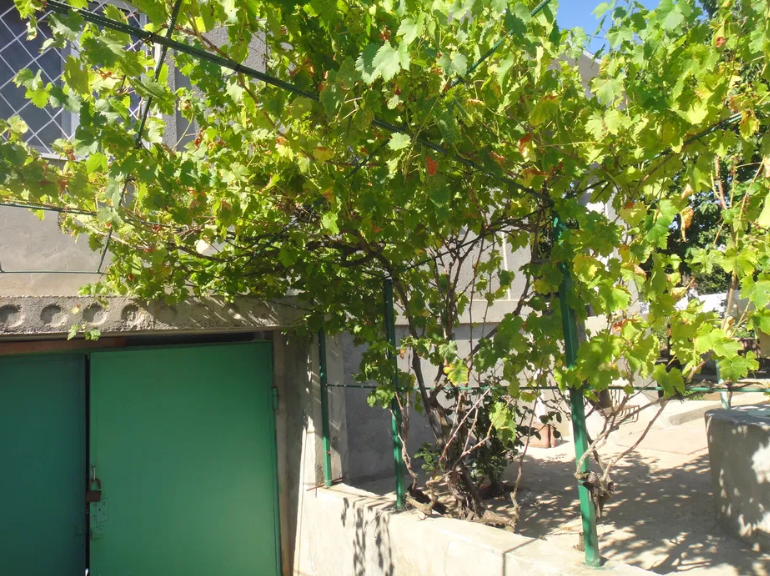 Продам 3-х этажный капитальный дом в Новой Дофиновке Нова Дофінівка - фото 18