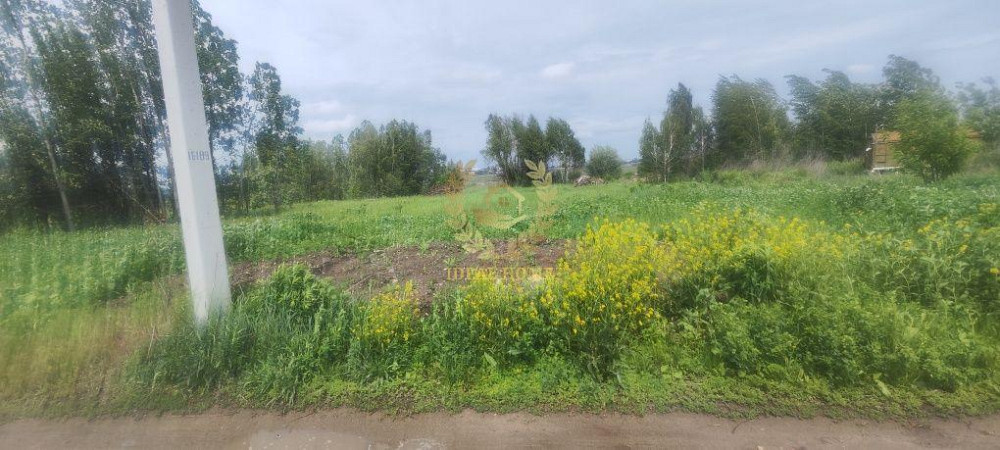 Продаж земельної ділянки 12 соток Киев - изображение 4