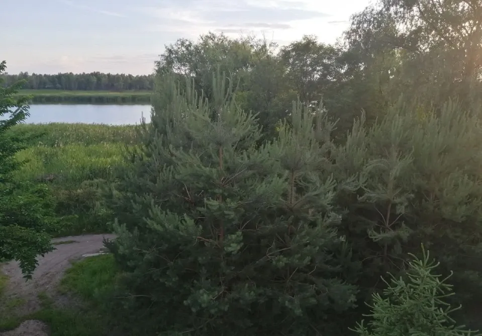 Продажа 2-этажный Дом с участком 10 сот 198 кв.м 4 комн. на Белградська Днепр - изображение 8