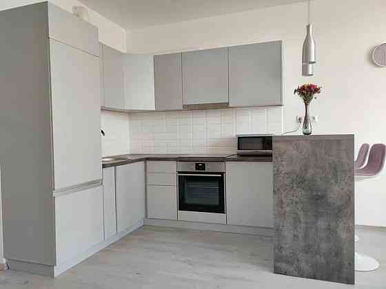 Оренда Квартира 1-кімнатна, 18/25 поверх на Пчілки, 3В Киев