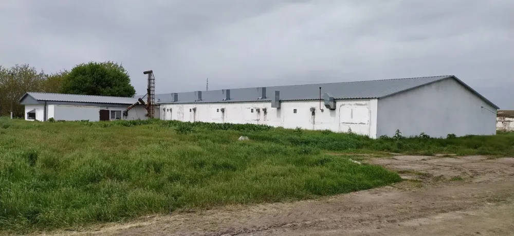 For sale Production Or Industrial Premises area 3070 sq.m floor 1 at MMGR+9F, Петриківський район, Дніпропетровська область, 51830 Loboikivka - photo 13