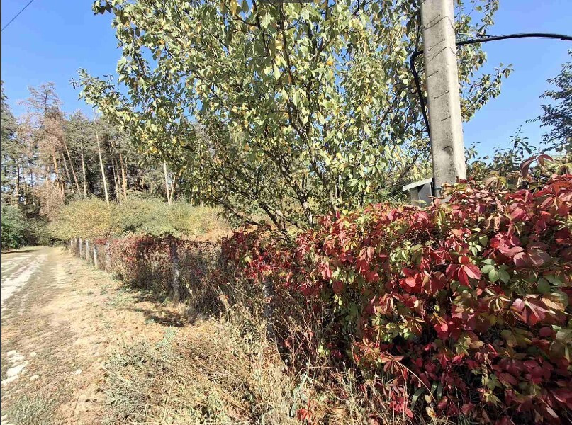 Продаж земельної ділянки 21 соток на садовое товарищество - Бытовик Обухов - изображение 3
